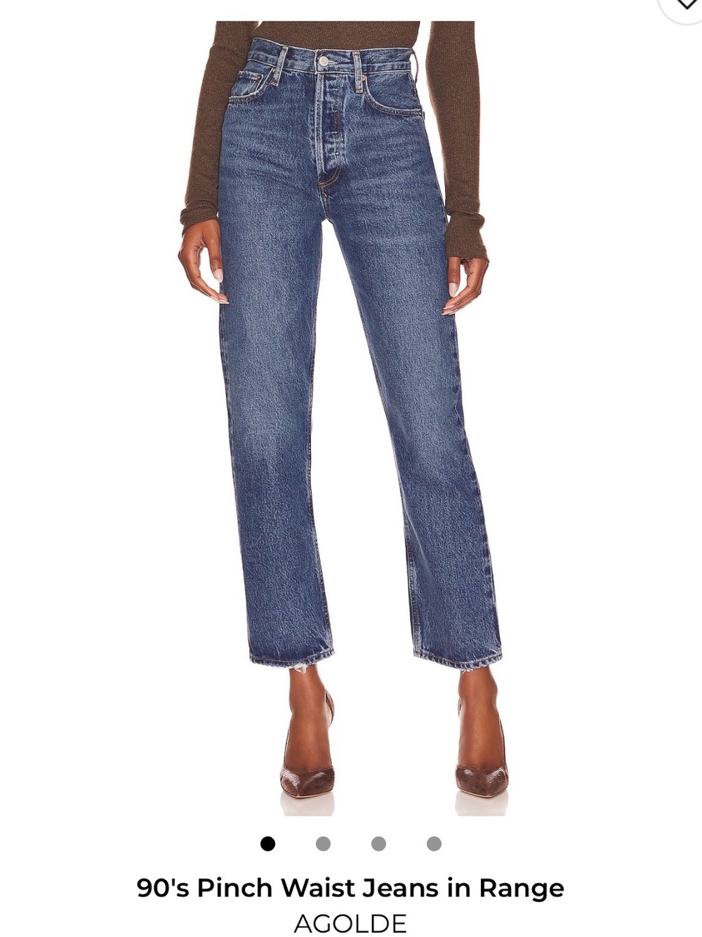 Agolde 90’s Pinch Waist Jeans in Range